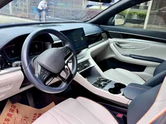 2023 BYD Song PLUS Champion EV 520km Premium — фото 6
