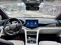 2023 BYD Song PLUS Champion EV 520km Premium — фото 11