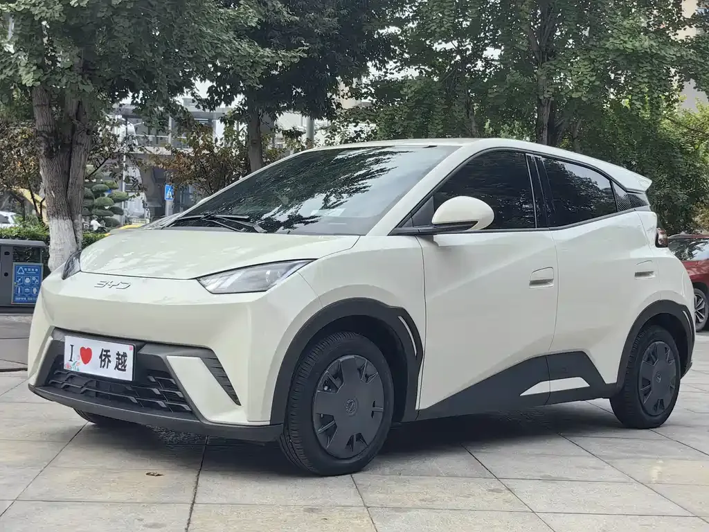 2024 BYD Seagull Honor 305km Vitality