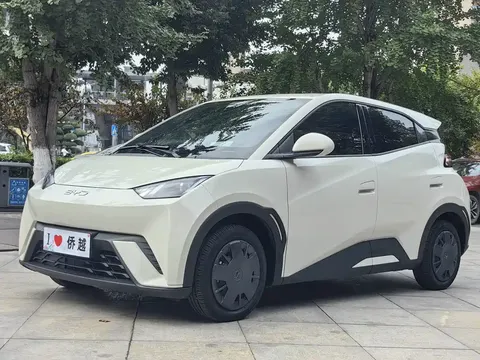 2024 BYD Seagull Honor 305km Vitality