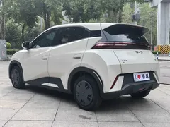 2024 BYD Seagull Honor 305km Vitality, белый — фото 7