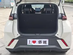 2024 BYD Seagull Honor 305km Vitality, белый — фото 10