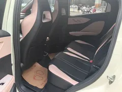 2024 BYD Seagull Honor 305km Vitality, белый — фото 11