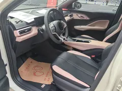 2024 BYD Seagull Honor 305km Vitality, белый — фото 13