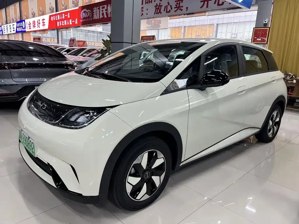 2025 BYD 420km