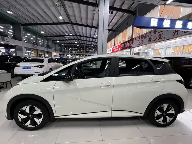 2025 BYD 420km