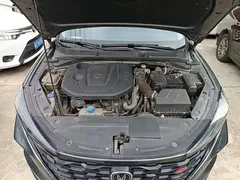 2021 Changan Eado PLUS Blue Whale NE 1.4T GDI DCT Premium — фото 16