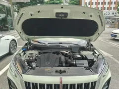 2023 Hongqi HS3 1.5T 2WD, зелёный — фото 22