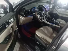 2023 BYD Qin PLUS Champion EV 610km Excellence — фото 12