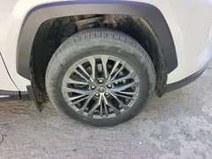 2023 Toyota Wildlander 2.0L CVT 2WD PLUS, белый — фото 24