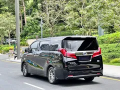 2021 Toyota Alphard Hybrid 2.5L Premium, чёрный — фото 15