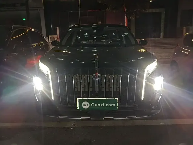2024 Hongqi HS7 2.0T PHEV 4WD 7