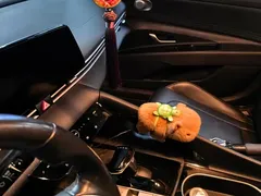 2021 Hyundai Elantra 1.5L CVT LUX Premium — фото 13