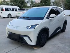 2024 BYD Seagull Honor 305km Vitality, белый — фото 21