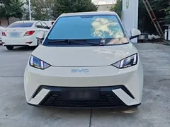 2024 BYD Seagull Honor 305km Vitality, белый — фото 22