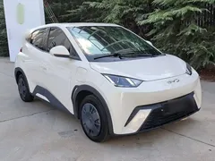 2024 BYD Seagull Honor 305km Vitality, белый — фото 23