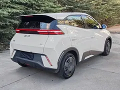 2024 BYD Seagull Honor 305km Vitality, белый — фото 24
