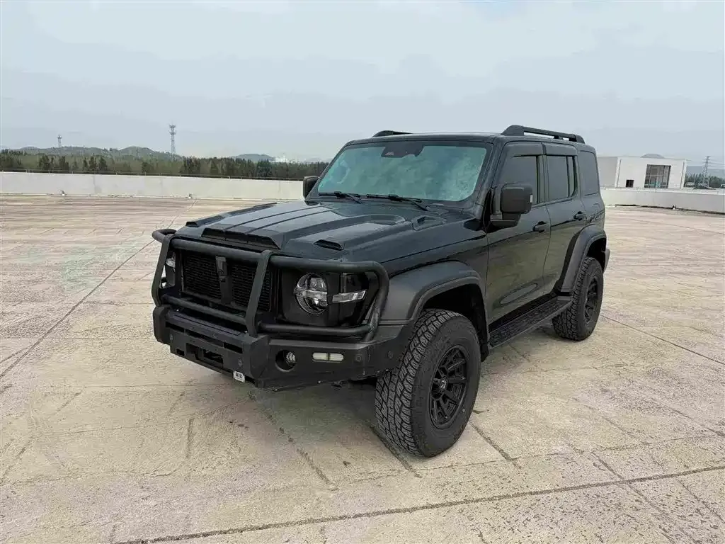 2021 Tank 300 2.0T