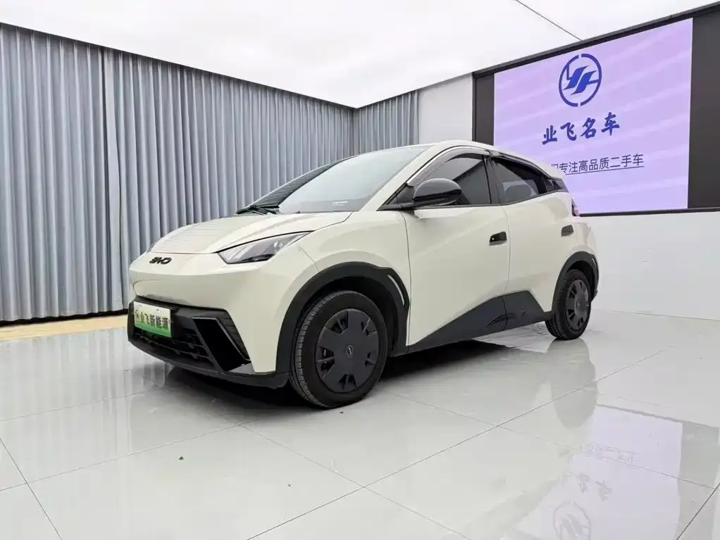 2024 BYD Seagull Honor 305km Vitality