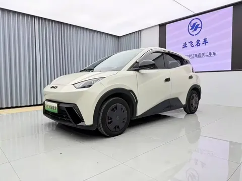 2024 BYD Seagull Honor 305km Vitality
