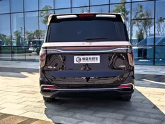 2023 Hongqi HQ9 2.0T — фото 5