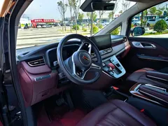 2023 Hongqi HQ9 2.0T — фото 10