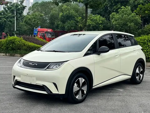 2023 BYD Dolphin 420km Freedom