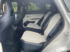 2023 BYD Song PLUS Champion EV 605km Flagship Plus — фото 9