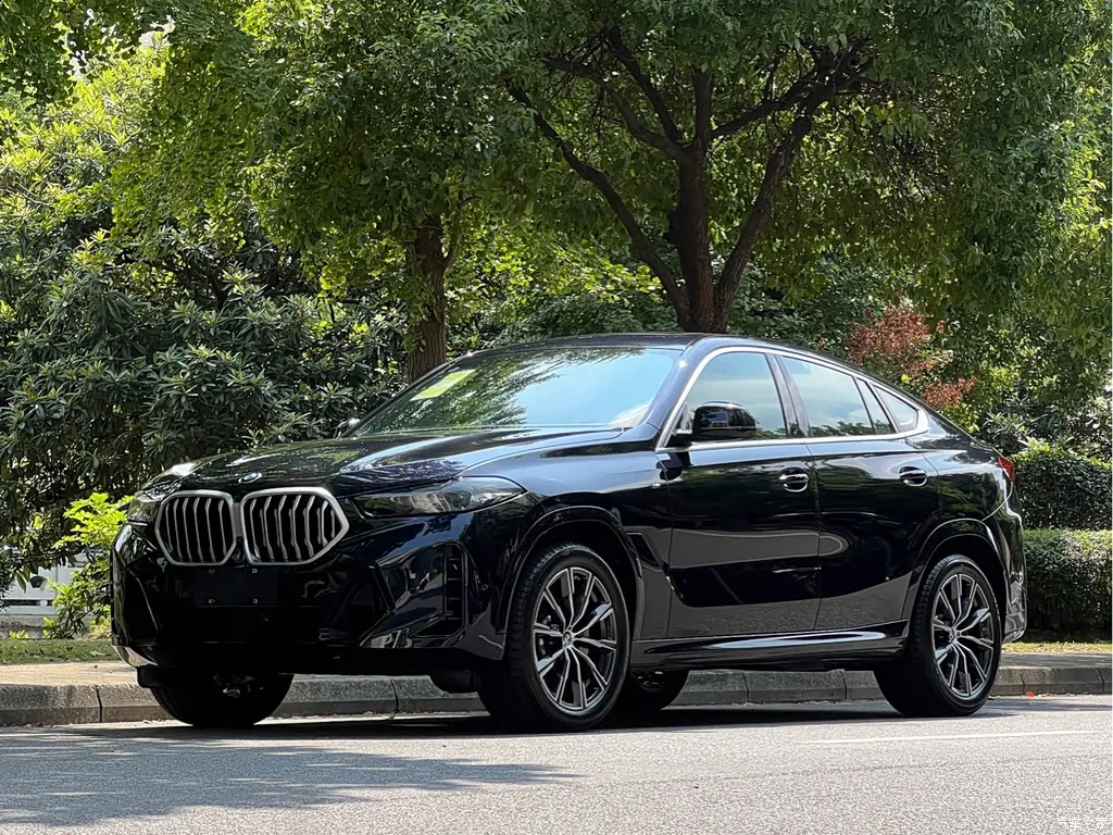 2023 BMW X6 xDrive30i M