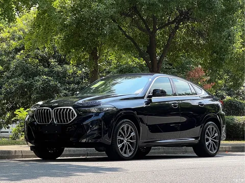 2023 BMW X6 xDrive30i M