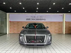 2025 Hongqi H5 PHEV 170 — фото 25