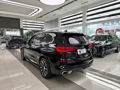 2022 BMW X5 30Li M, чёрный — фото 14