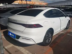 2024 BYD Qin PLUS 55KM, белый — фото 3