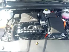 2024 BYD Qin PLUS 55KM, белый — фото 10