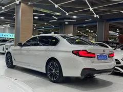 2021 BMW 5 Series 5 530Li xDrive M, белый — фото 6