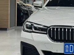 2021 BMW 5 Series 5 530Li xDrive M, белый — фото 9