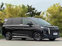 2023 Hongqi HQ9 2.0T, чёрный — фото 3