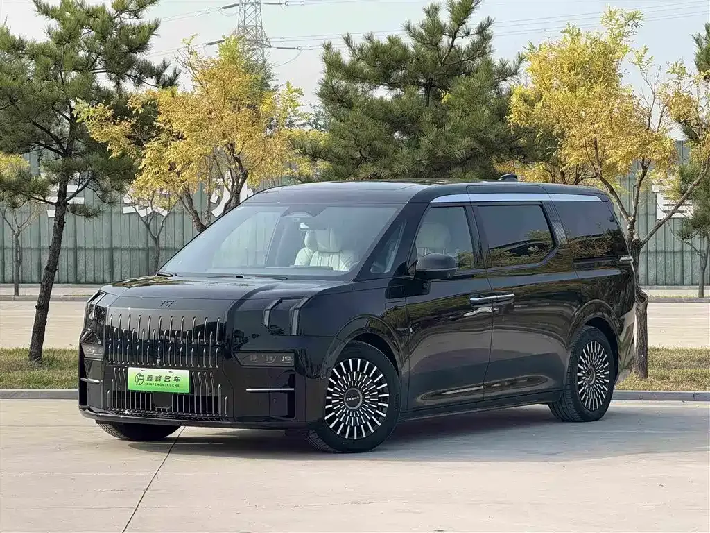 2022 Zeekr 009 WE