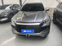2024 BYD Song Pro 110KM — фото 2