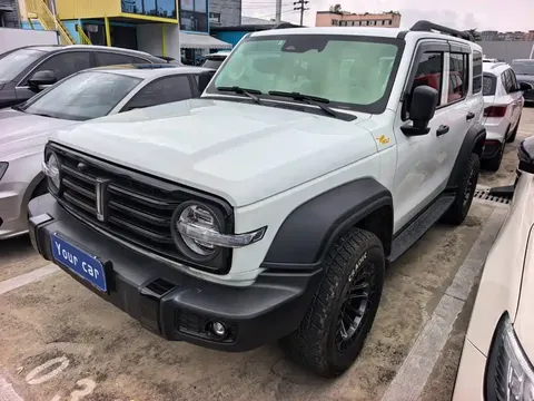2021 Tank 300 2.0T