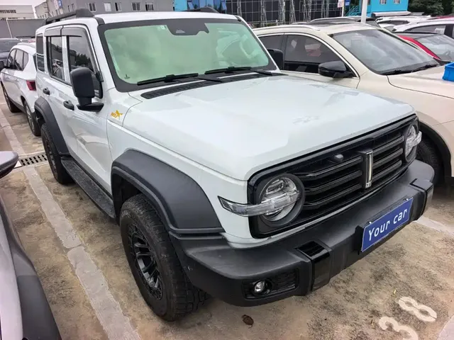 2021 Tank 300 Off-road 2.0T Conqueror
