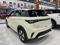 2025 BYD 420km — фото 3