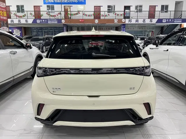 2025 BYD 420km