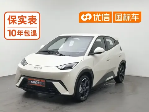 2023 BYD Seagull Flying