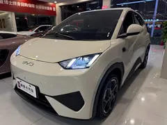 2025 BYD Seagull Smart Driving 305km Freedom — фото 1