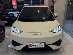 2025 BYD Seagull Smart Driving 305km Freedom — фото 2