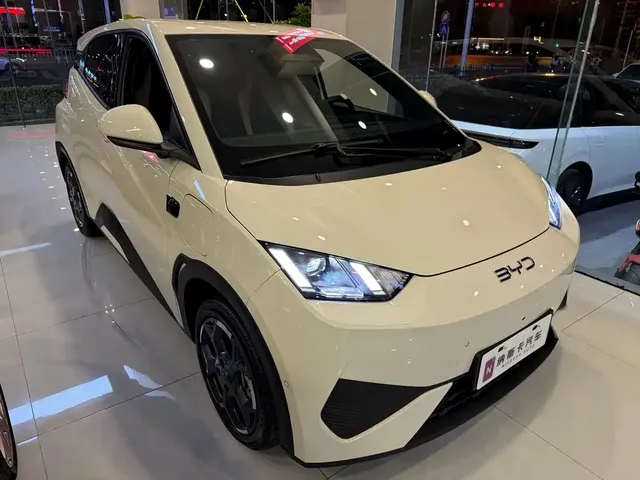 2025 BYD Seagull Smart Driving 305km Freedom