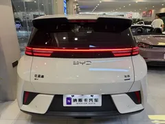 2025 BYD Seagull Smart Driving 305km Freedom — фото 4