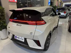 2025 BYD Seagull Smart Driving 305km Freedom — фото 5
