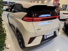 2025 BYD Seagull Smart Driving 305km Freedom — фото 6
